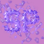 Outil en ligne unique pour les textes PNG avec divers effets