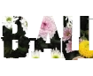 Belles polices avec différents fonds png