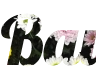 Texte en ligne avec arrière-plan floral - police Lobster PNG