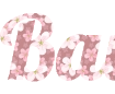 Créer une belle inscription avec fond de fleurs de sakura - police Lobster PNG