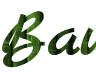 Constructeur d'inscriptions en ligne avec fond vert bambou