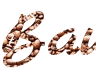 Créez une signature PNG unique dans le style de grains de café avec la police