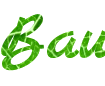Inscriptions originales et élégantes avec feuille verte